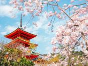 Japonais - niveau 6 avancé